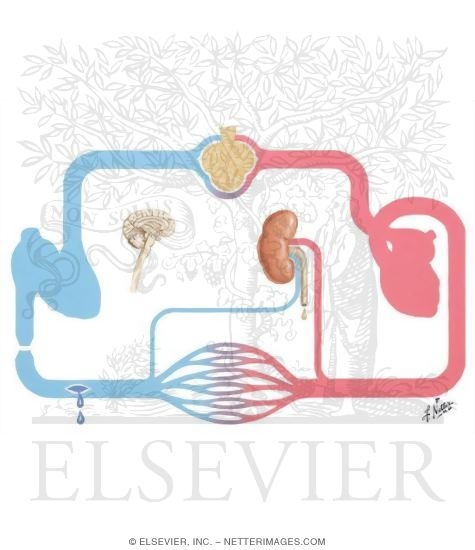 Treatment of Pulmonary Edema and Paroxysmal Dyspnea