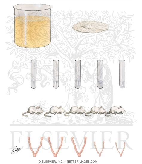 Gonadotropin Assay