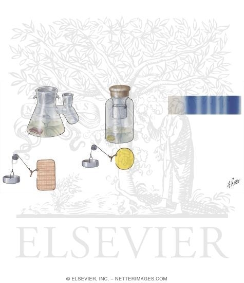 Insulin Assays