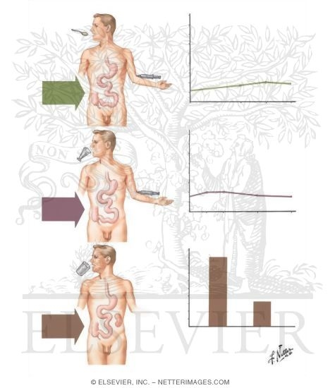 Tests for Small-Bowel Function