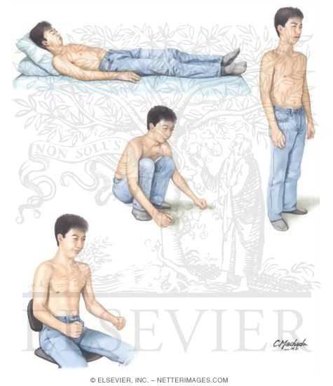 Maneuvers in Cardiac Physical Examination