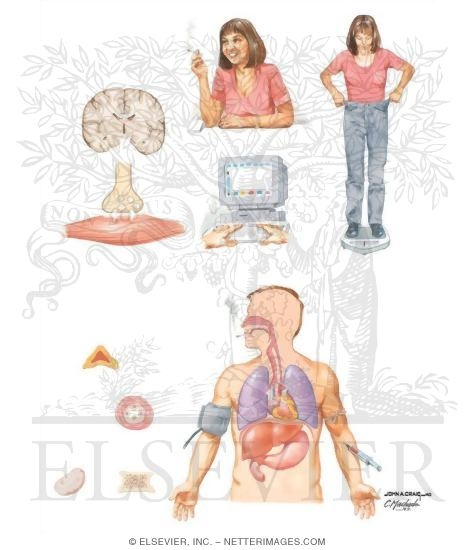 effects of smoking. Physiologic Effects of Smoking