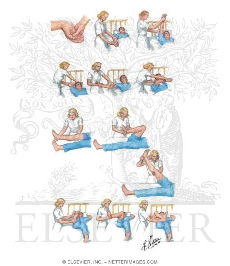 flexion thigh flexion thigh