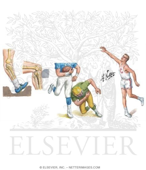 Medical History of the Leg and Knee