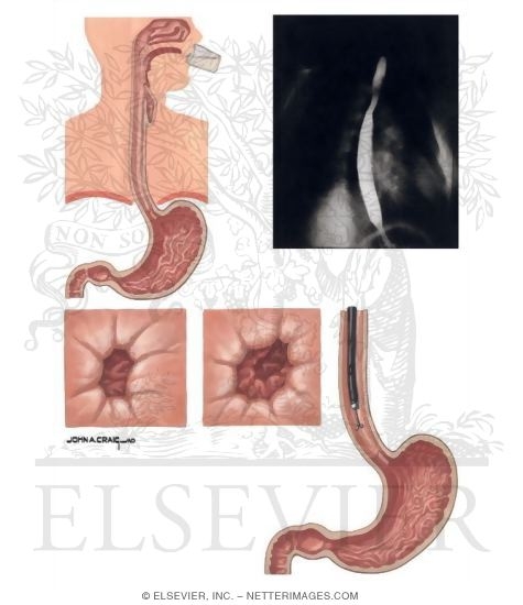 Diagnostic Techniques