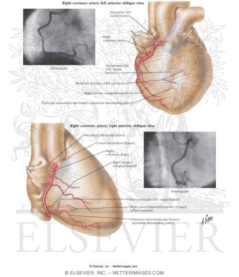 Illustrations i...