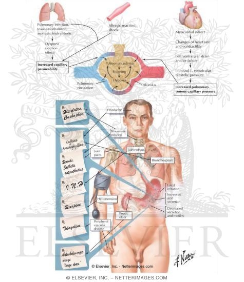 Adrenergic Drugs