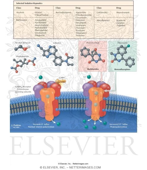 GABA<sub>A</sub> Receptor Complex and Sedative-Hypnotic Drugs