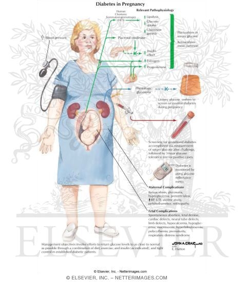 Diabetes In Pregnancy