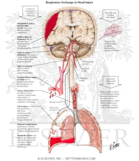 Causes and Effects of Impaired Respiratory Exchange