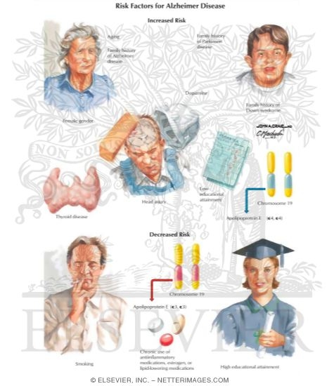 Risk Factors for Alzheimer's Disease