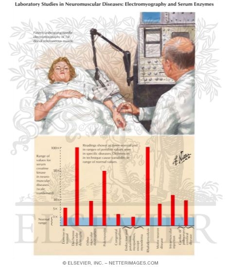 Laboratory Studies in Neuromuscular Diseases: Electromyography and Serum Enzymes