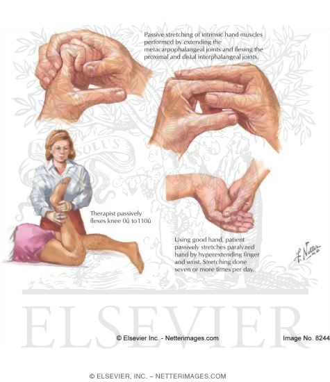 Passive Exercise