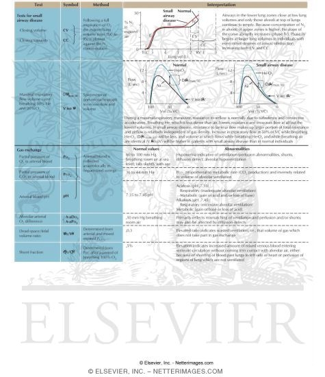 Pulmonary Function Tests