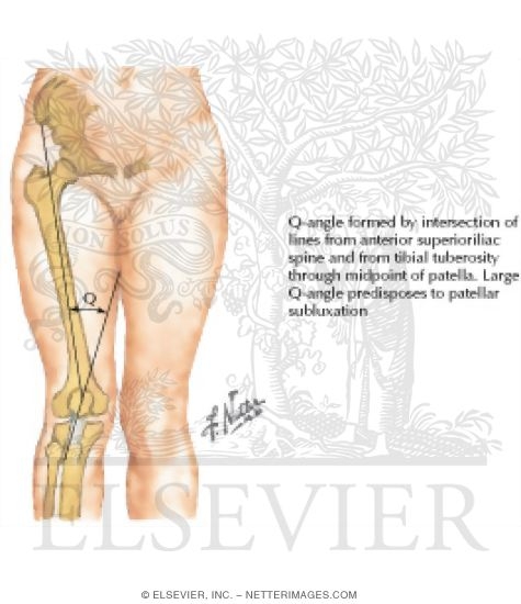 Quadriceps Angle Measurements