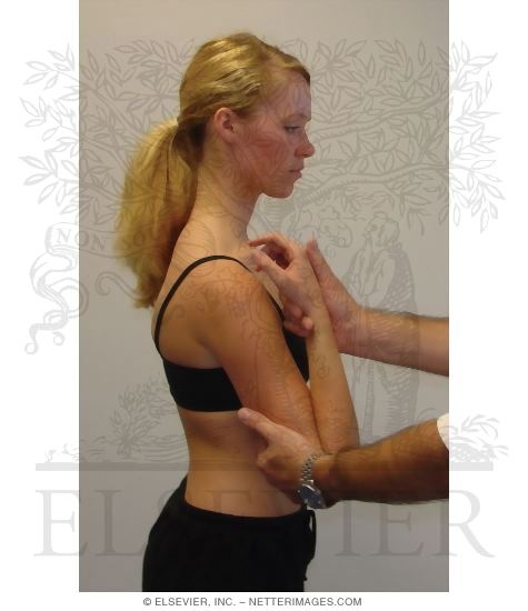 Classification On End-Feel for Elbow Flexion and Extension: Assessment of Flexion End-Feet