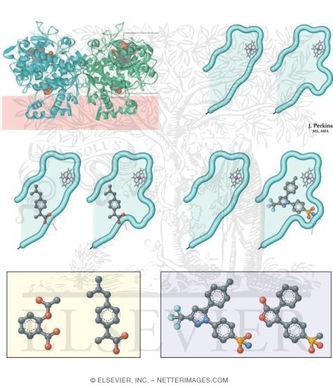 Nonopioids: NSAIDs, Selective Cyclooxygenase-2 Inhibitors, and Acetaminophen