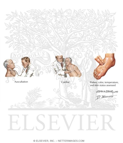 Neurologic Medical Examination