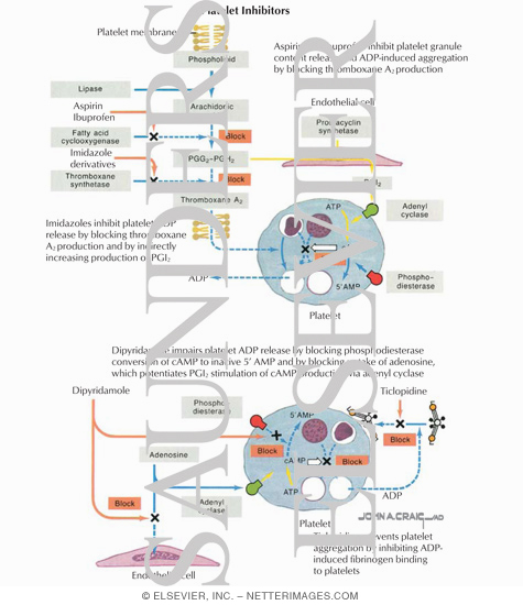 Prevention of Infarction