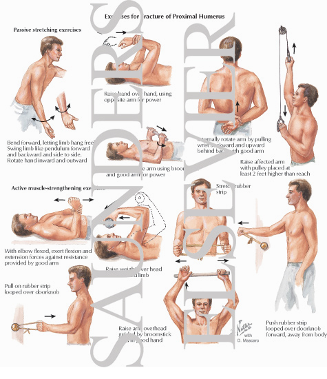 Exercises for Fracture of Proximal Humerus
