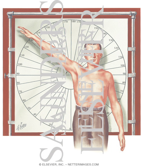 Shoulder Joint