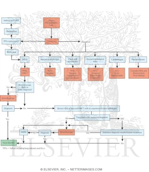 Diagnostic Algorithm In Restrictive Lung Disease