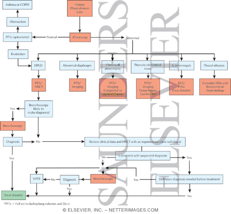 Diagnostic Algorithm
