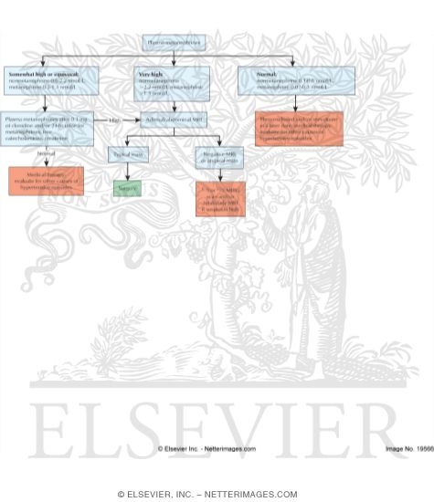 Clinical Suspicion of Pheochromocytoma
