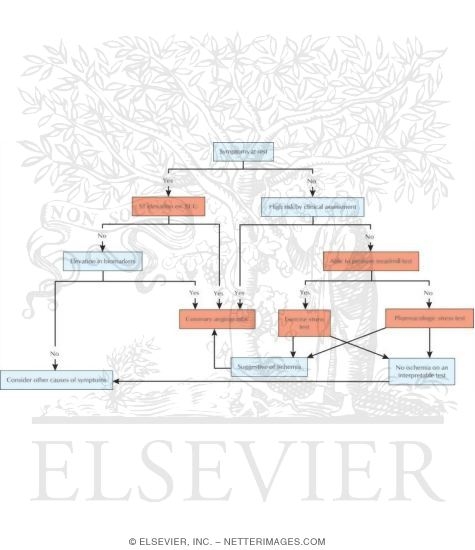 Assumptions for Diagnostic Algorithm In Disorders of the Cardiovascular System