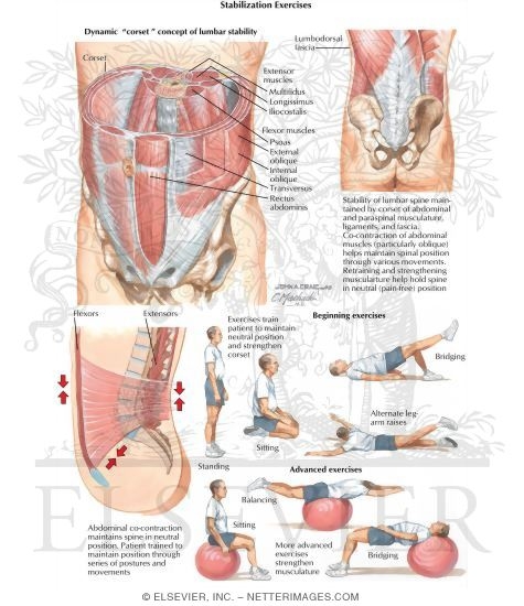 Stabilization Exercises for Low Back Pain