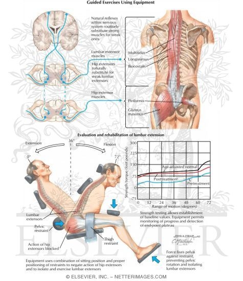 Guided Exercises for Low Back Pain Using Equipment