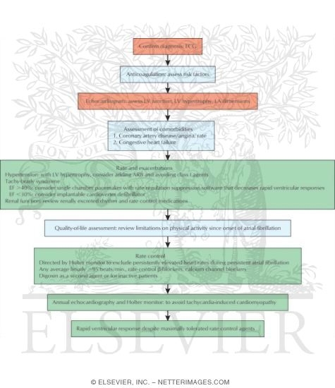 Long-term Management of Permanent Atrial Fibrillation