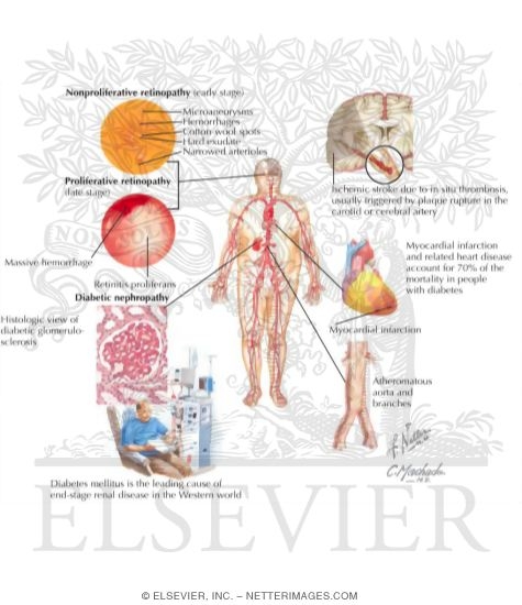 Family Health History family health history. Family Health History