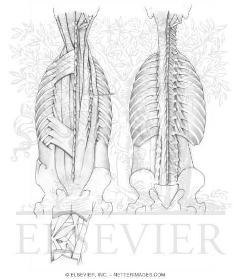 james clelland deeper than coloring pages - photo #46