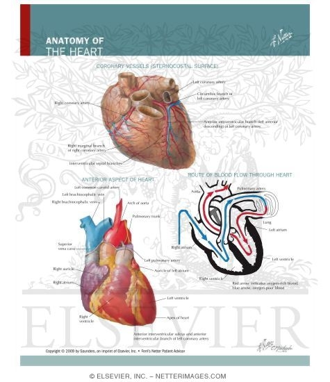 funny love poems for your funny love poems for your