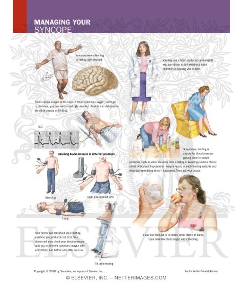 Syncope And Collapse Syncope And Collapse