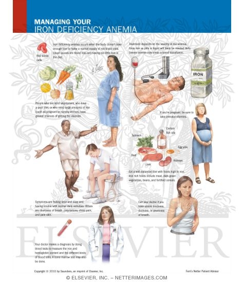 Managing Your Iron Deficiency Anemia
