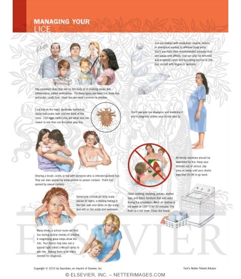 Managing Your Lice