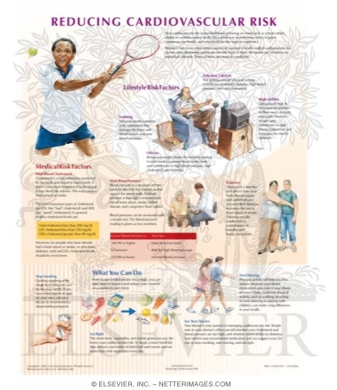 Reducing Cardiovascular Risk