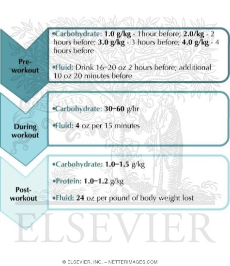 Pre-, During, and Post-Workout Carbohydrate, Protein, and Fluid Recommendations