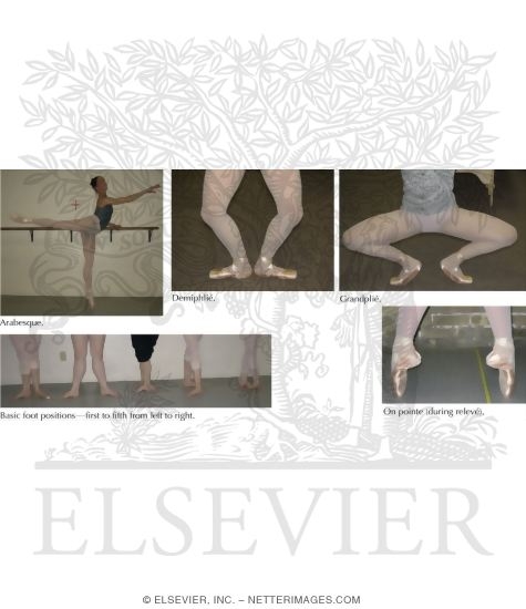 Common Terms In Dance