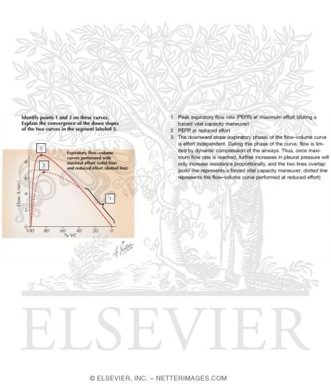 Flow-Volume Relationships - Determinants of Maximal Expiratory Flow
