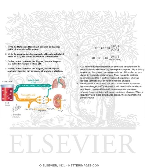 Acid-Base Balance