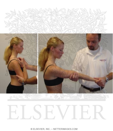 End-Feel for Elbow Flexion and Extension Assessment