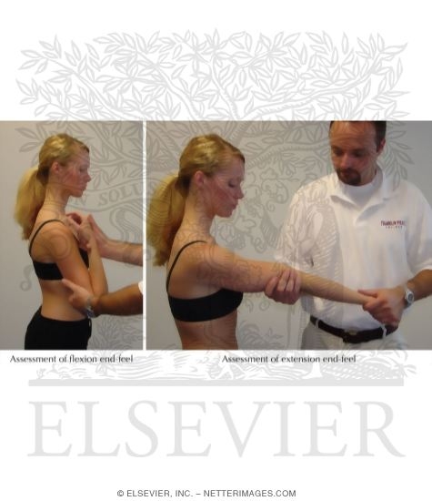 Elbow Flexion Extension