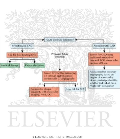 Algorithm for Differential Diagnosis of Acute Coronary Syndrome (ACS)