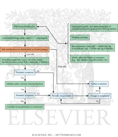 Management of Chronic Coronary Artery Disease In Clinically Stable Patients