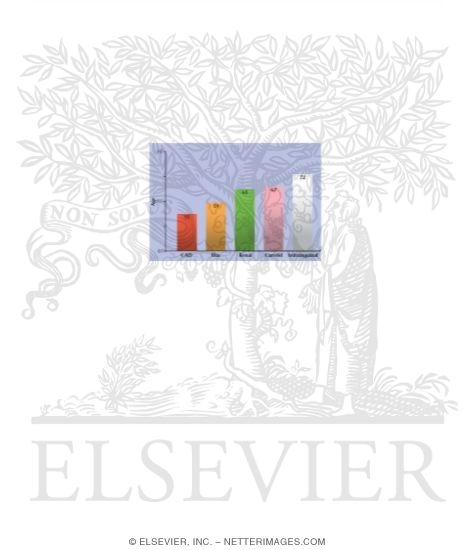 Average Age at Which Different Arteries Require Revascularization