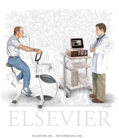 Tests of Pulmonary Function: Ergometer