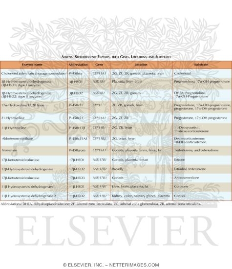 "Adrenal Steroidogenic Enzymes, their Genes, Locations, and Substrates"																																																																																																																																																																																																																																																				